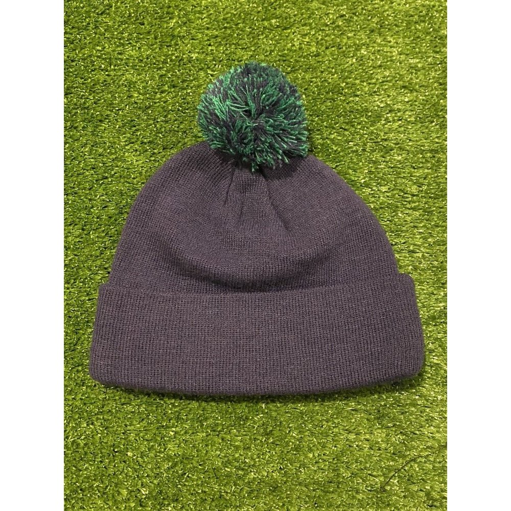 Vintage Zephyr Graf-X Anaheim Ducks script cuffed beanie winter stocking hat pom - Picture 2 of 4